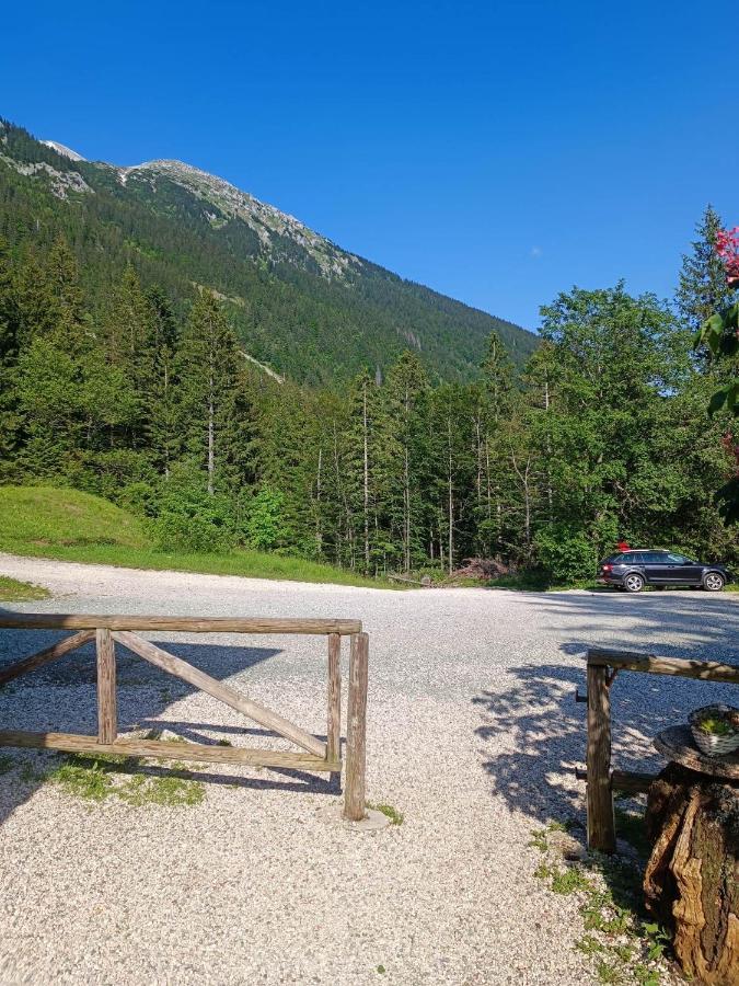 Valvasorjev Dom Pod Stolom Hostel Zirovnica Luaran gambar